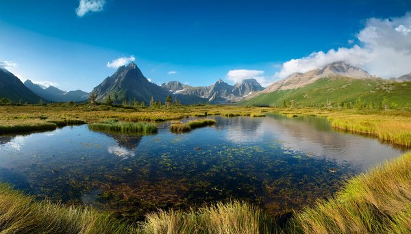 Vacances Aux Cinq Continents